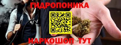 шишки Железногорск