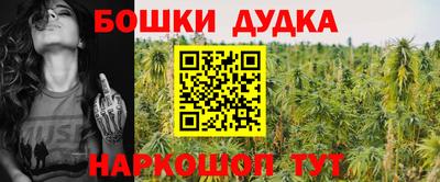 шишки Железногорск