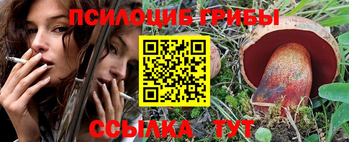 Псилоцибиновые грибы GOLDEN TEACHER Благодарный